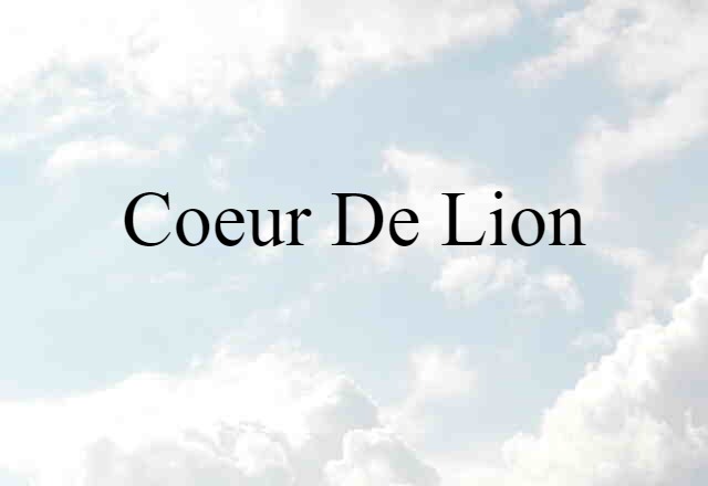 Coeur De Lion (noun) Definition, Meaning & Examples