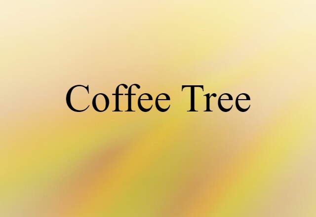 Coffee Tree (noun) Definition, Meaning & Examples