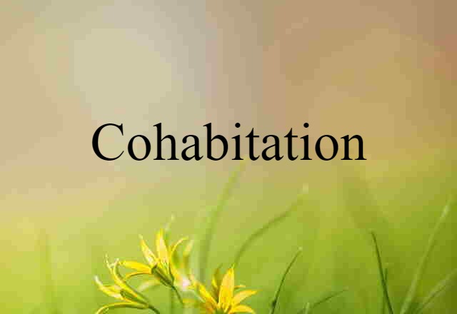 cohabitation