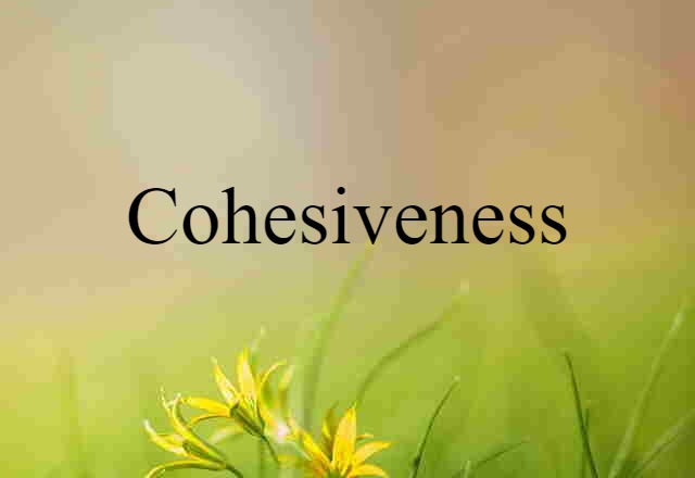 cohesiveness