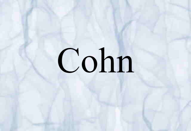 Cohn (noun) Definition, Meaning & Examples