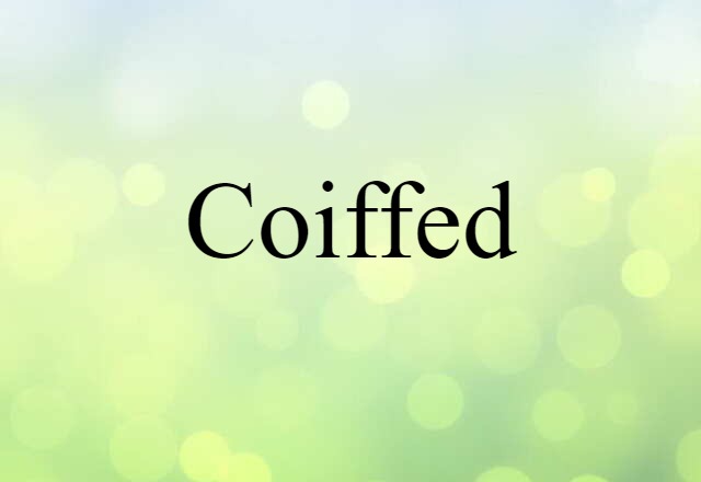 Coiffed (noun) Definition, Meaning & Examples