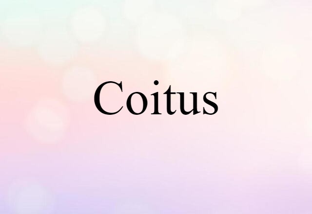 coitus