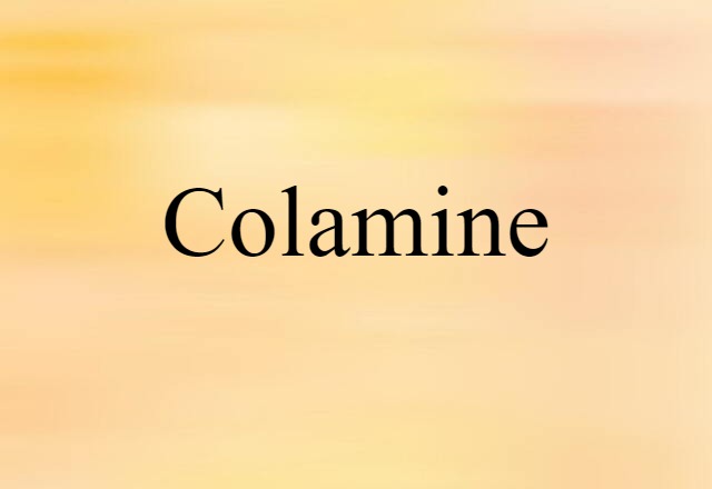 Colamine (noun) Definition, Meaning & Examples