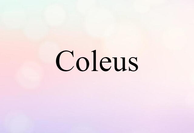 Coleus (noun) Definition, Meaning & Examples