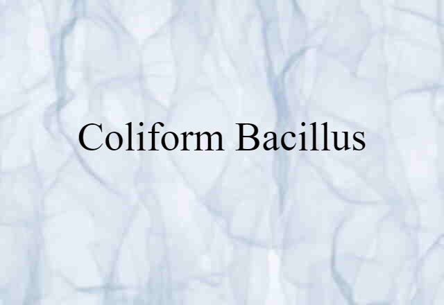 coliform bacillus