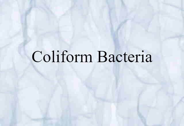 coliform bacteria