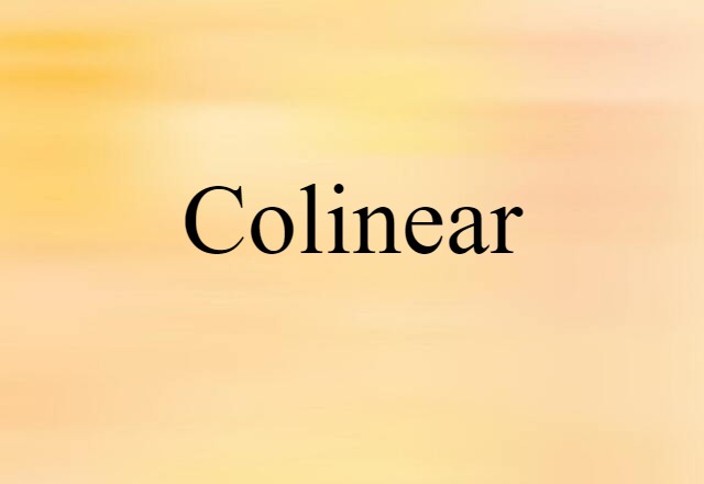 Colinear (noun) Definition, Meaning & Examples