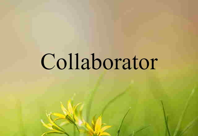 Collaborator (noun) Definition, Meaning & Examples