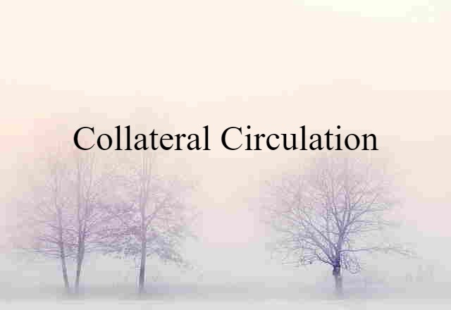 collateral circulation