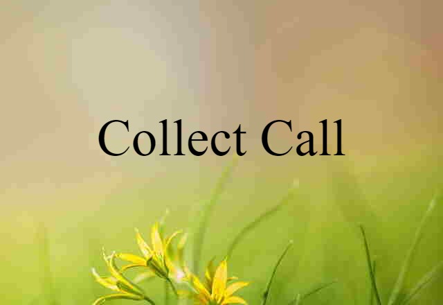 Collect Call (noun) Definition, Meaning & Examples