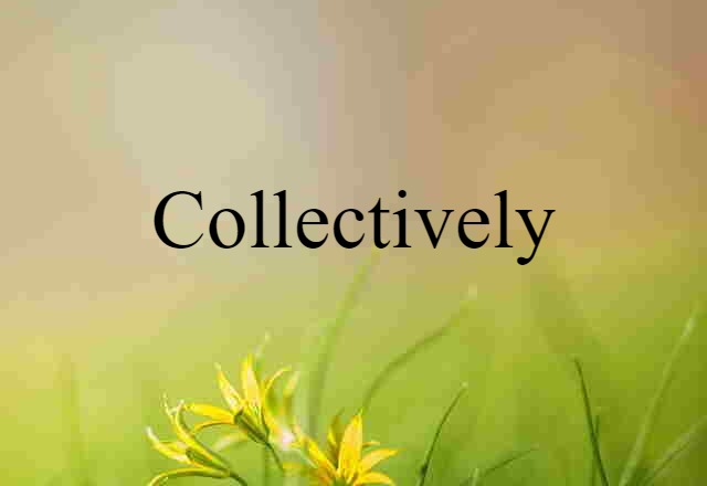 Collectively (noun) Definition, Meaning & Examples