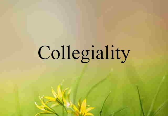 Collegiality (noun) Definition, Meaning & Examples