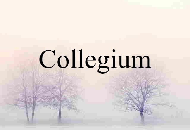 collegium