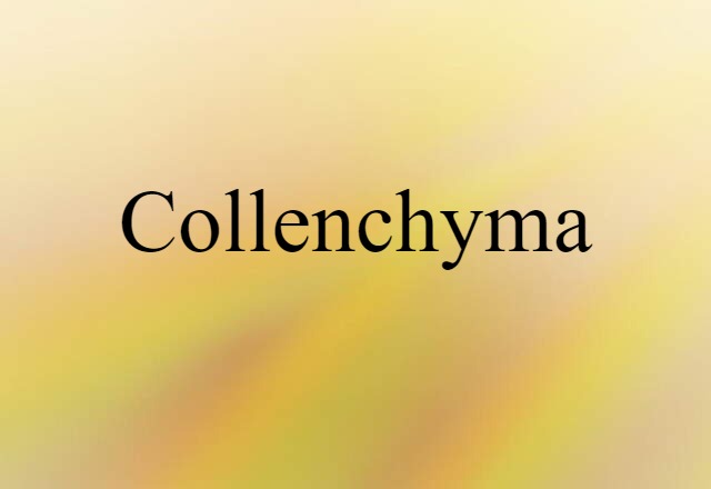 collenchyma