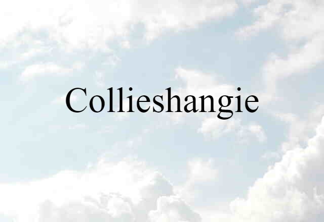 Collieshangie (noun) Definition, Meaning & Examples