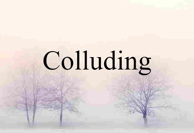 Colluding (noun) Definition, Meaning & Examples