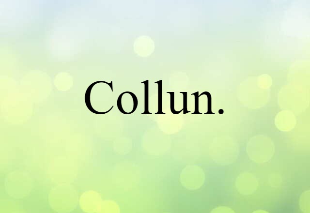 Collun. (noun) Definition, Meaning & Examples