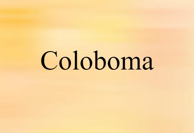 Coloboma (noun) Definition, Meaning & Examples