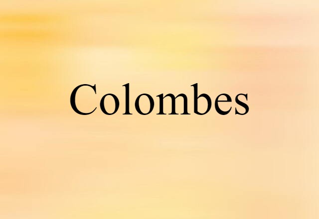 Colombes (noun) Definition, Meaning & Examples