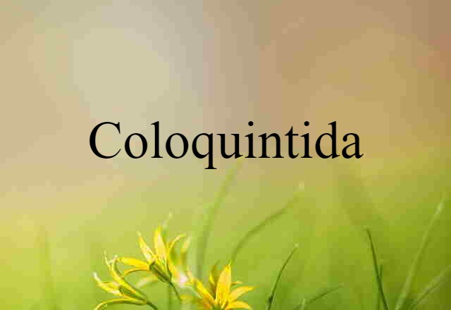 Coloquintida (noun) Definition, Meaning & Examples