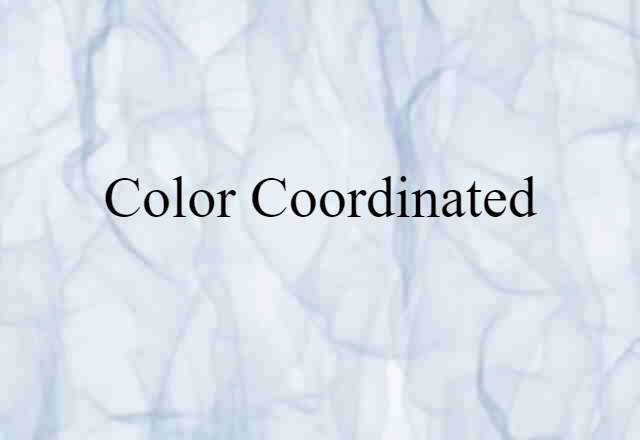 Color-coordinated (noun) Definition, Meaning & Examples