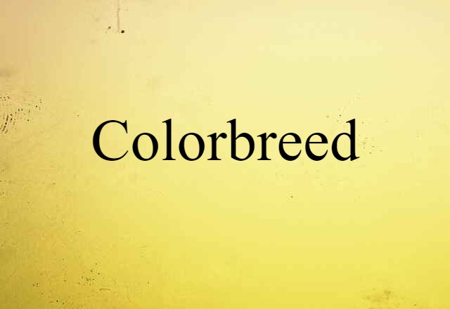 Colorbreed (noun) Definition, Meaning & Examples