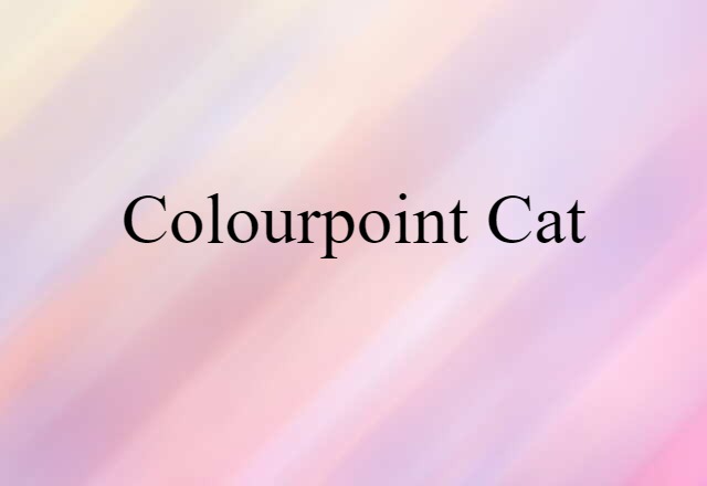 colourpoint cat