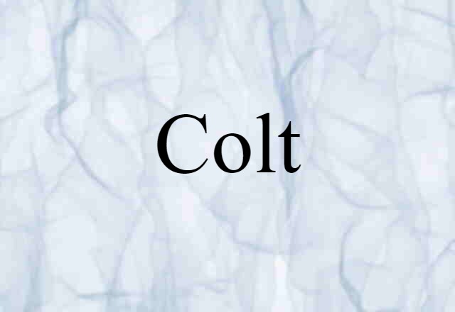 colt