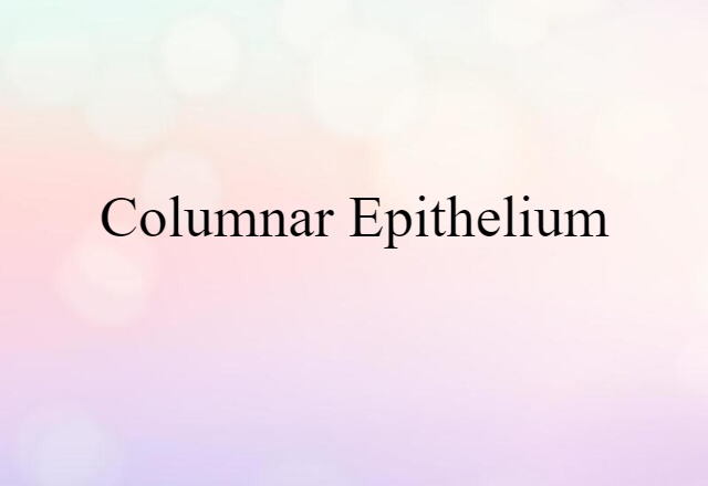 columnar epithelium