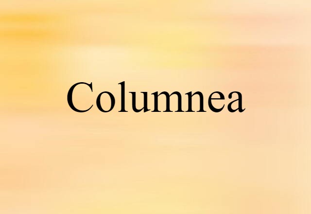 Columnea (noun) Definition, Meaning & Examples