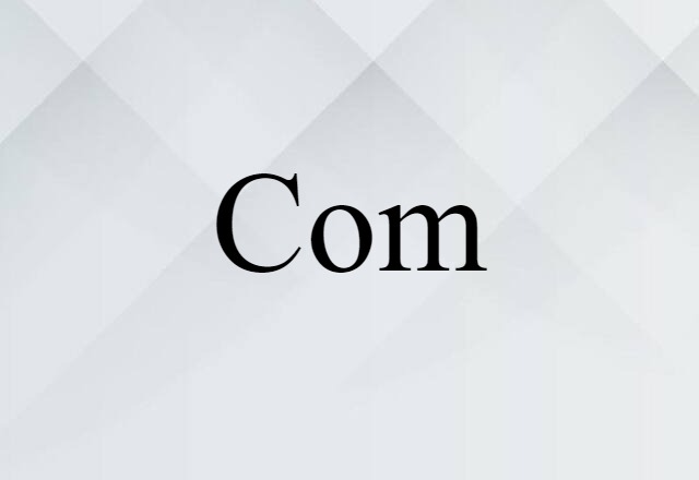 Com (noun) Definition, Meaning & Examples