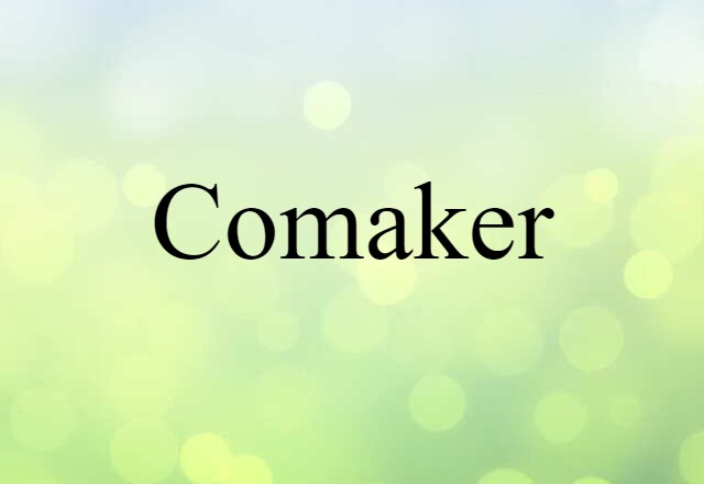 Comaker (noun) Definition, Meaning & Examples