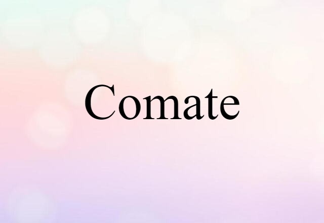 Comate (noun) Definition, Meaning & Examples