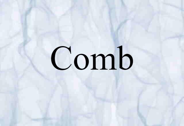 Comb (noun) Definition, Meaning & Examples