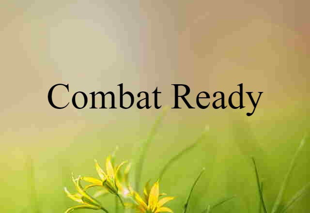 Combat-ready (noun) Definition, Meaning & Examples