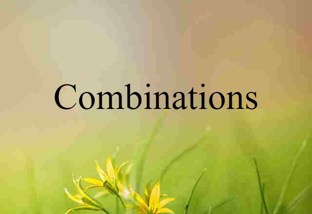 Combinations (noun) Definition, Meaning & Examples