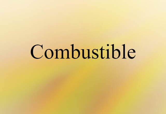 Combustible (noun) Definition, Meaning & Examples