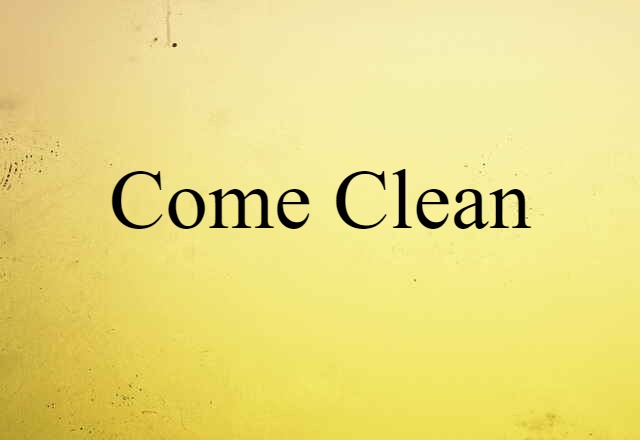 Come Clean (noun) Definition, Meaning & Examples