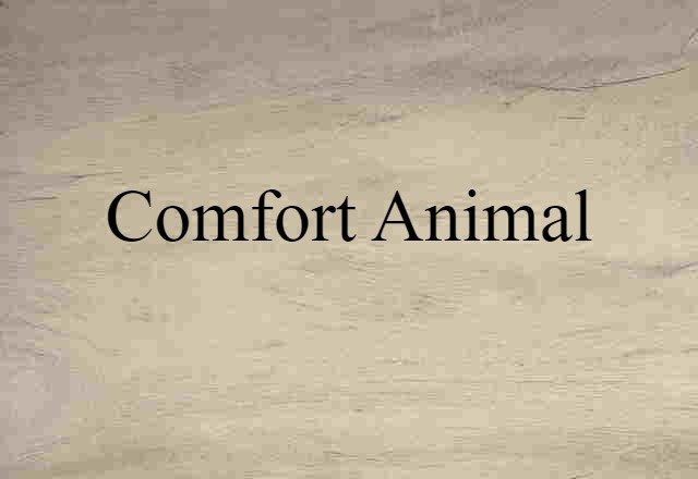 comfort animal