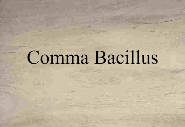 Comma Bacillus (noun) Definition, Meaning & Examples