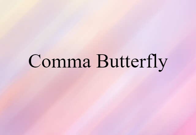 comma butterfly