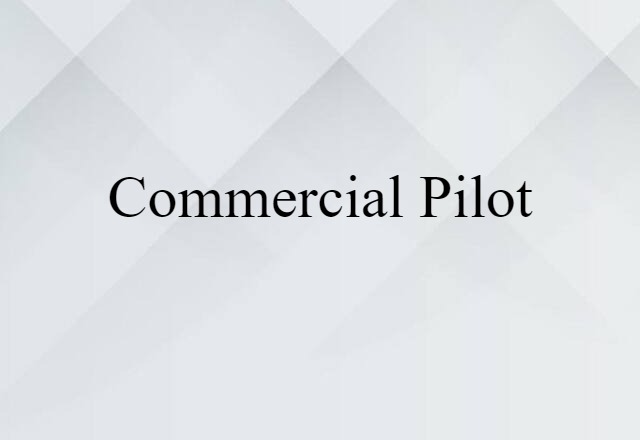 Commercial Pilot (noun) Definition, Meaning & Examples