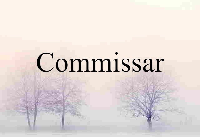 Commissar (noun) Definition, Meaning & Examples