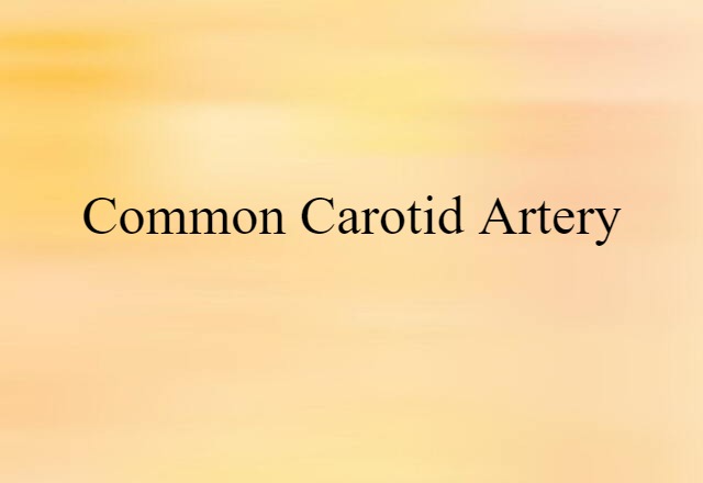 common carotid artery