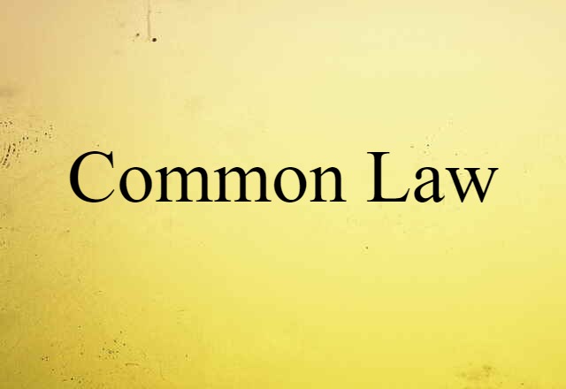 Common Law (noun) Definition, Meaning & Examples