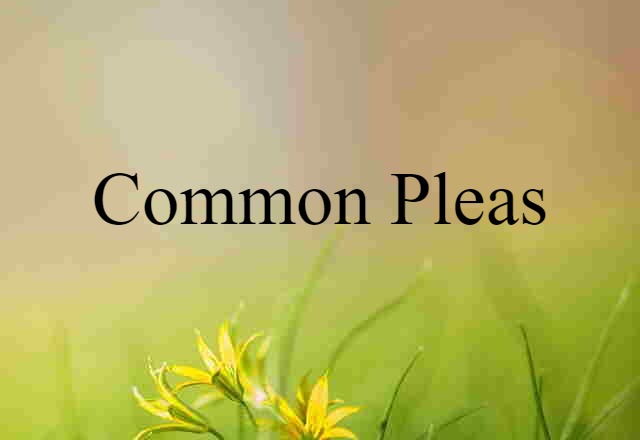 common pleas