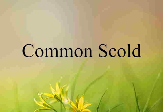 Common Scold (noun) Definition, Meaning & Examples