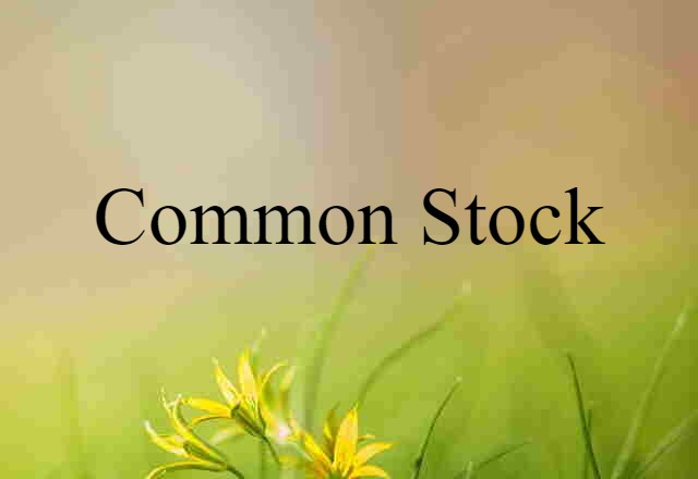 Common Stock (noun) Definition, Meaning & Examples