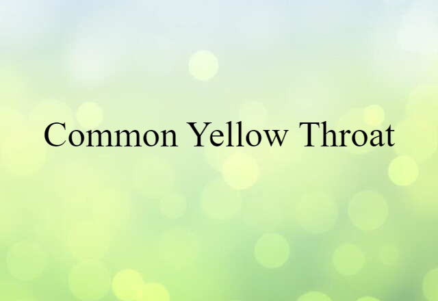 Common Yellow Throat (noun) Definition, Meaning & Examples